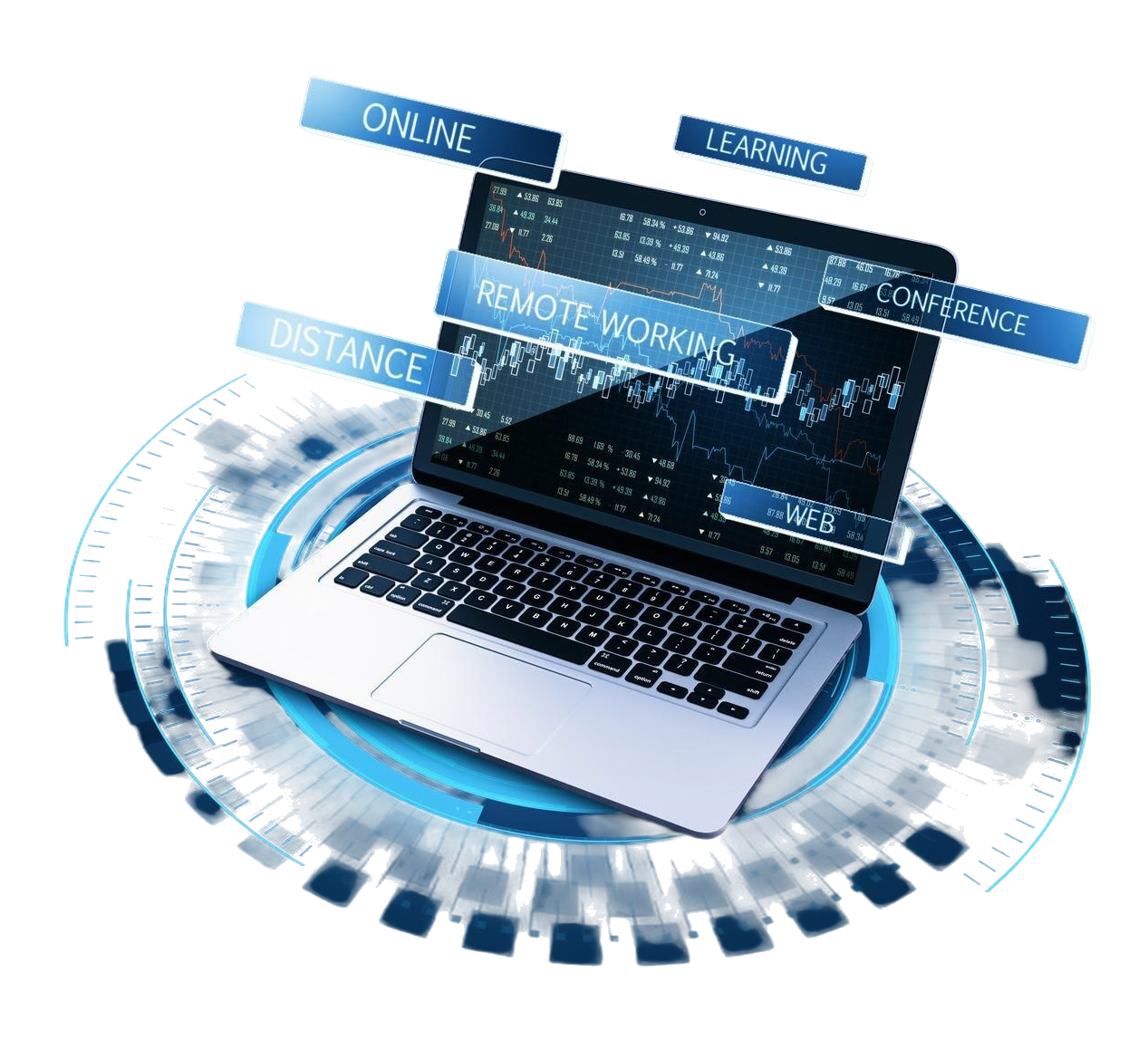 SEO Growth